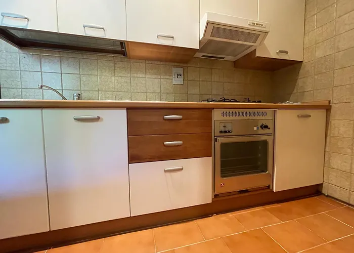 Vivaitalia Massino Visconti